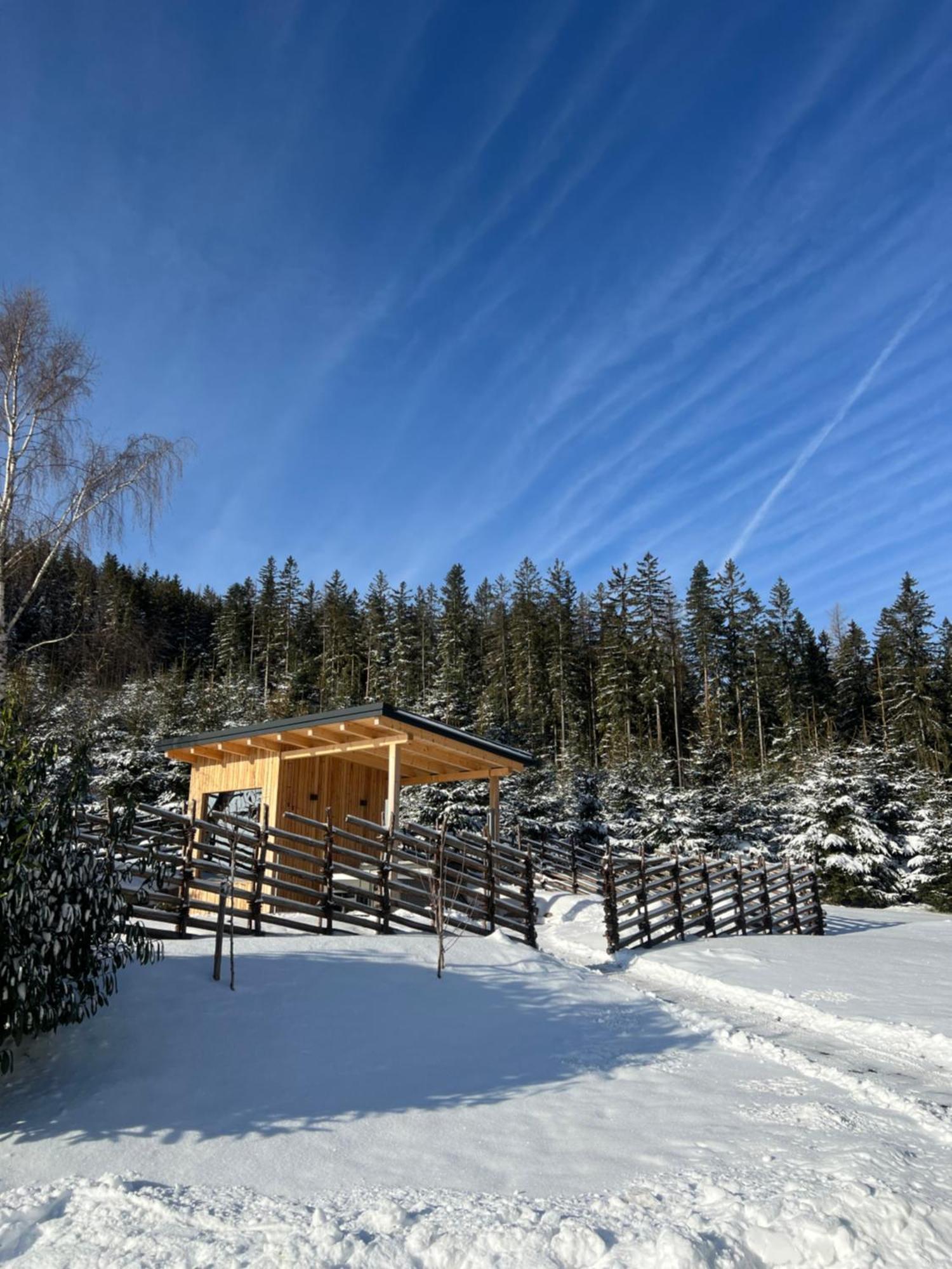 Waldheimatblick Villa Sankt Kathrein am Hauenstein Екстериор снимка